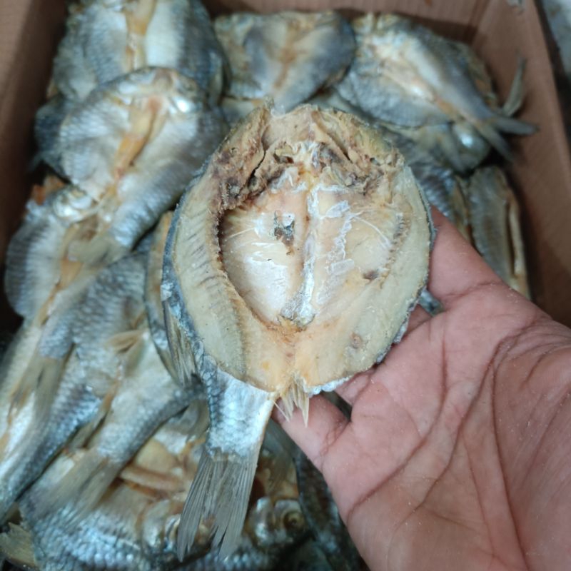 

ikan asin belahan tawes super. ikan asin belahan tawes kering 1000gr.