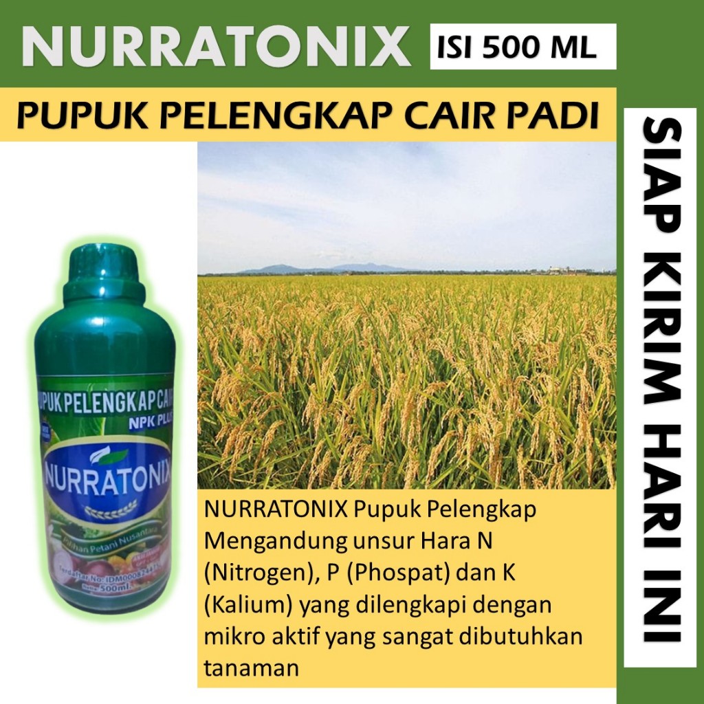 PALING LARIS NURRRATONIX 500 ml pupuk untuk tanaman padi-pupuk padi organik pupuk cair untuk padi be