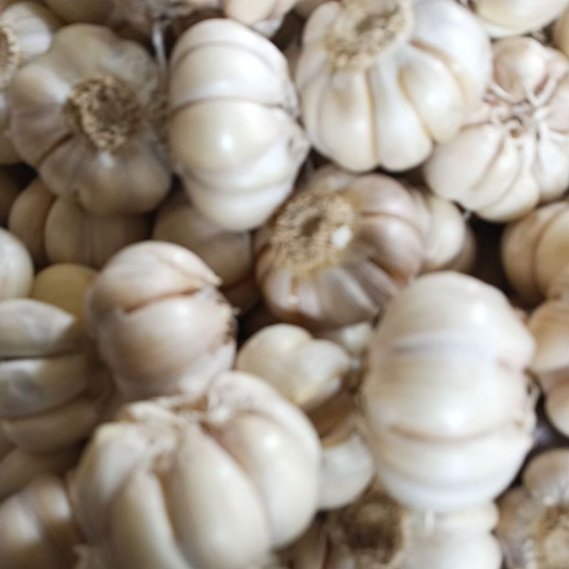 

Bawang putih honan bersih 500 gram