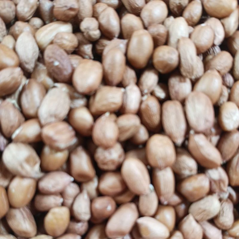 

Kacang tanah 500 gram