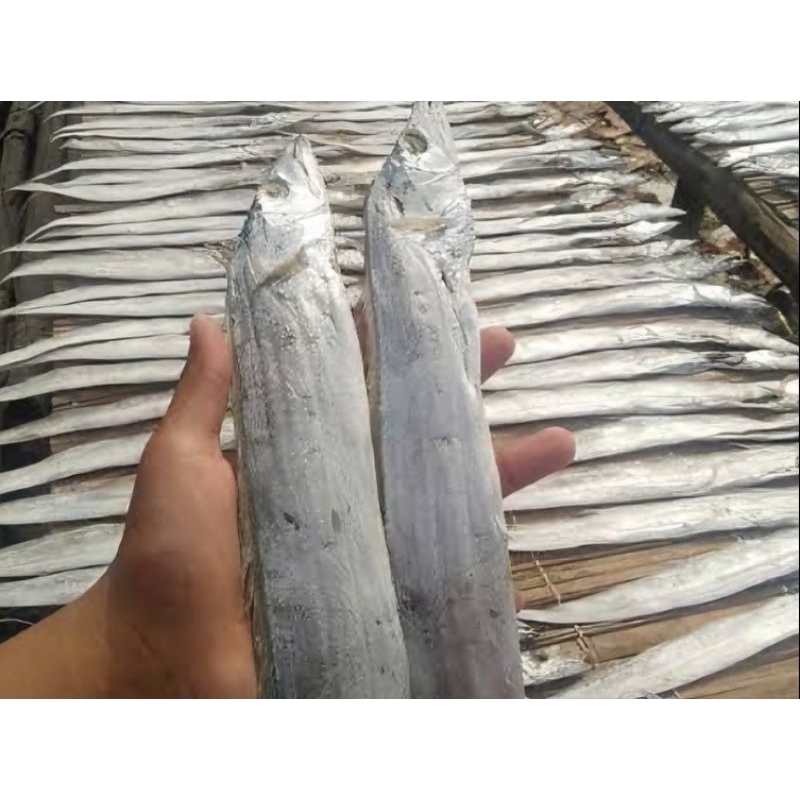 

ikan layur 3pcs 5000