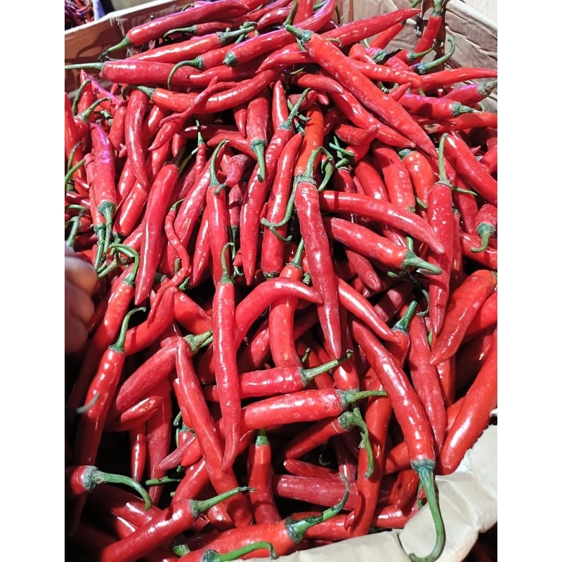 

Sisuma Fresh Cabe Merah Besar 1 Kg