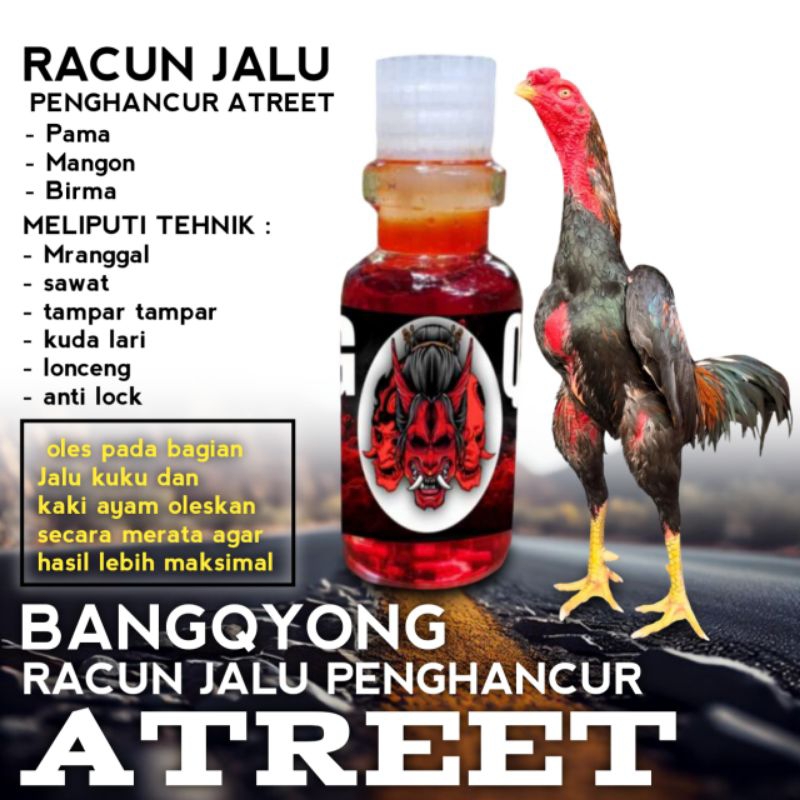 Bangqyong Racun Jalu ayam aduan penghancur atreet Pama mangon birma