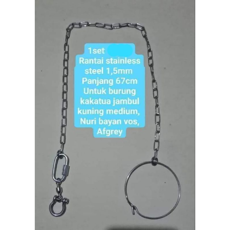 Rantai burung parrot sedang ring omega