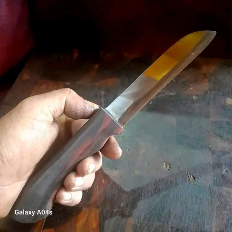 pisau dapur baja hss dm05 julia italy pb12,3