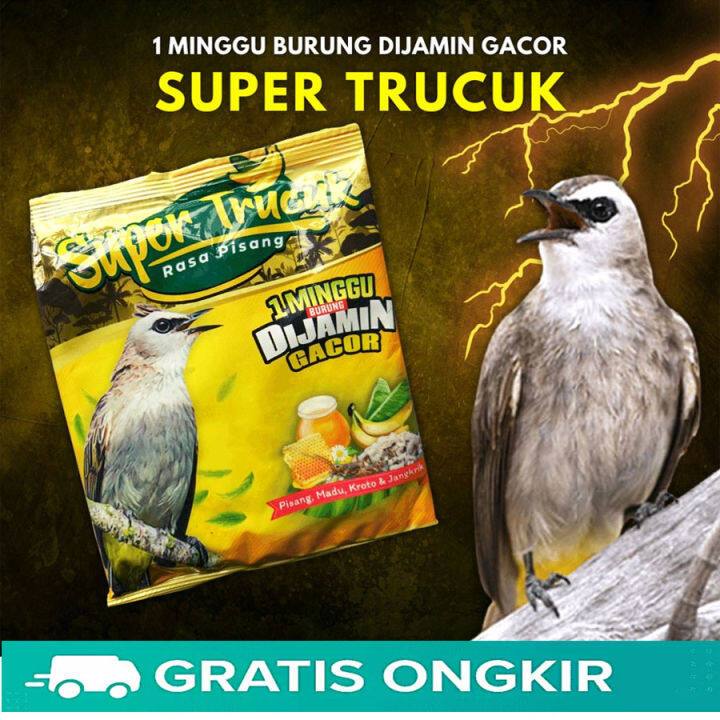 VOER SUPER TRUCUK PUR RASA PISANG PAKAN BURUNG TRUCUKAN PLECI MURAI + KROTO SERANGGA VOERTRS