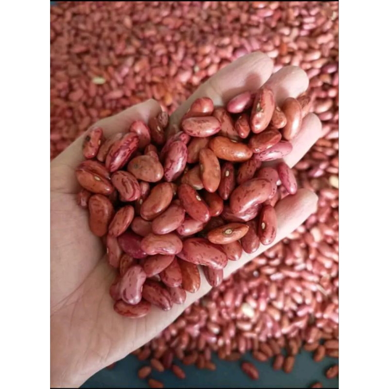 

kacang merah 1kg