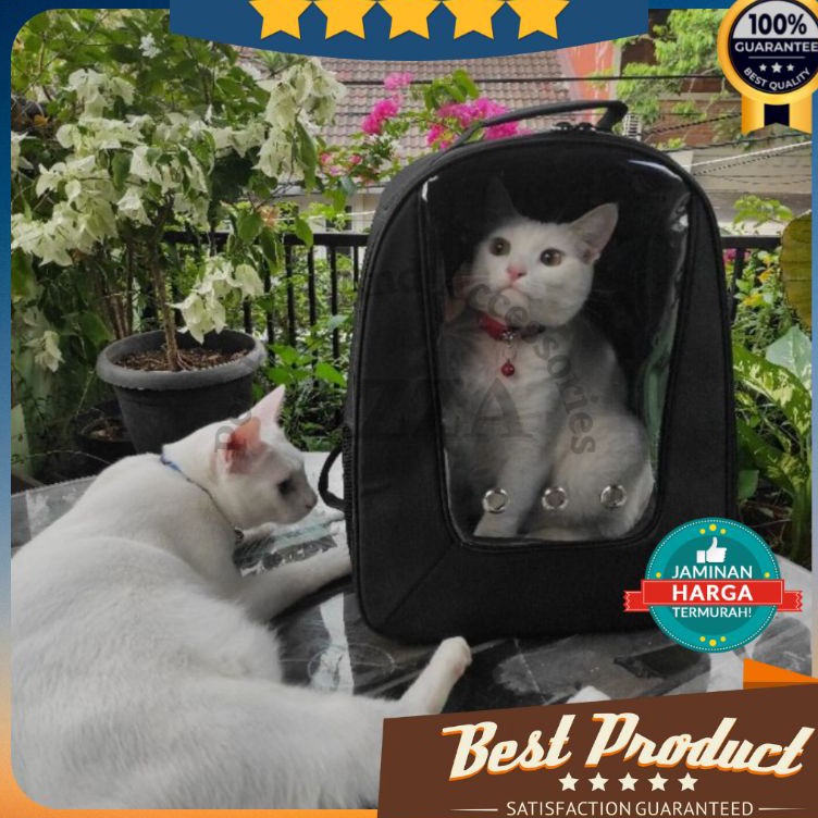 Serbu Untung  Tas Kucing Transparan Gratis Mainan Bola  Tas Hewan  Ransel Kucing  Tas Kucing