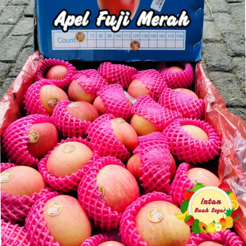 

BUAH APEL FUJI MERAH 1KG MANIS SEGAR / APEL FUJI / BUAH APEL / BUAH APEL FUJI PREMIUM / BUAH APEL MERAH MANIS FRESH / INTAN BUAH SEGAR