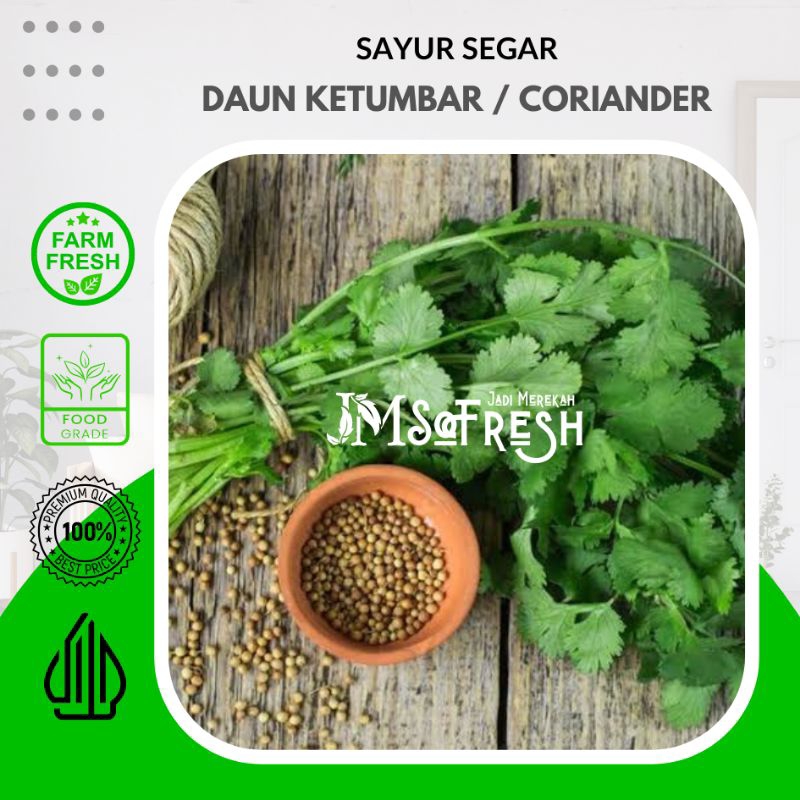 

[JM_SoFresh] Daun Ketumbar Segar Per Ikat 50 Gram