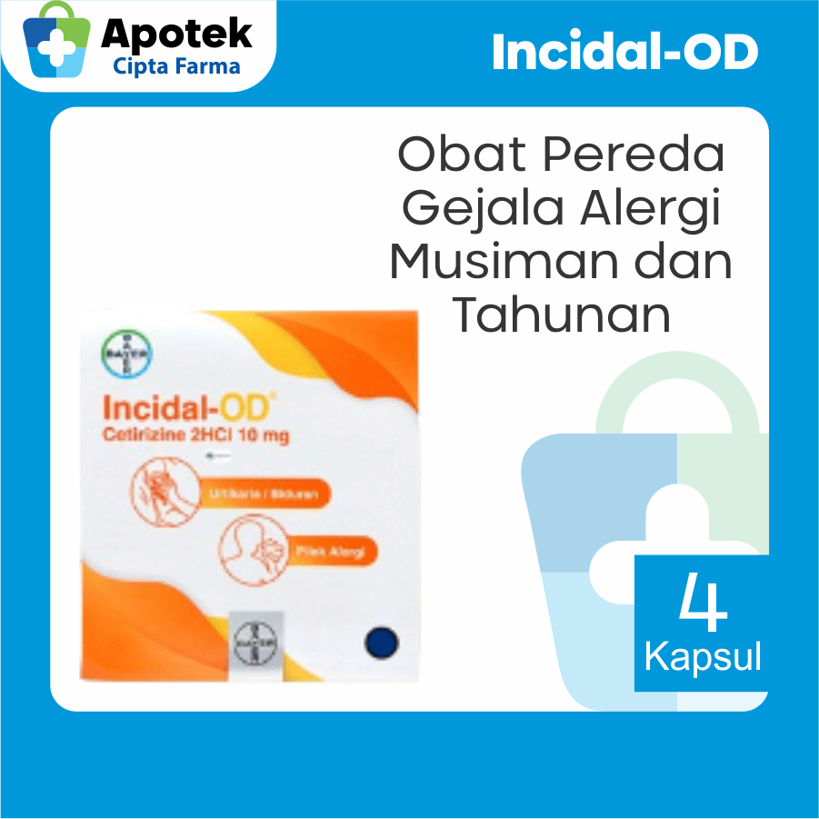 Incidal Insidal Kapsul Cetirizine Hcl Ceterizine Cetirizin Cetrizine Citirizine Obat Cetirizine Anti