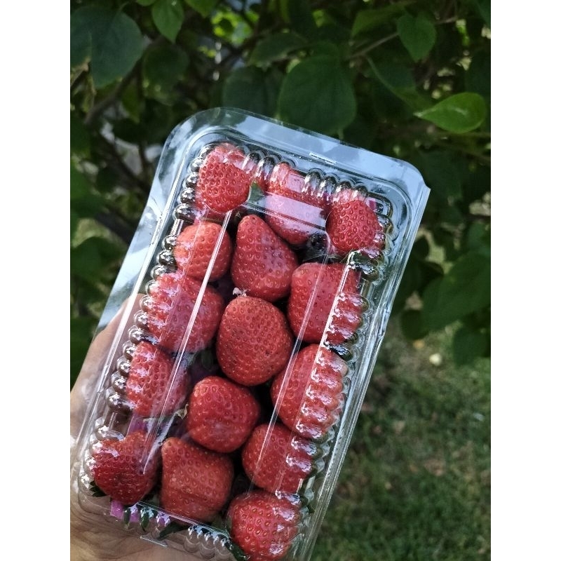 

STRAWBERRY ORGANIK 120gr