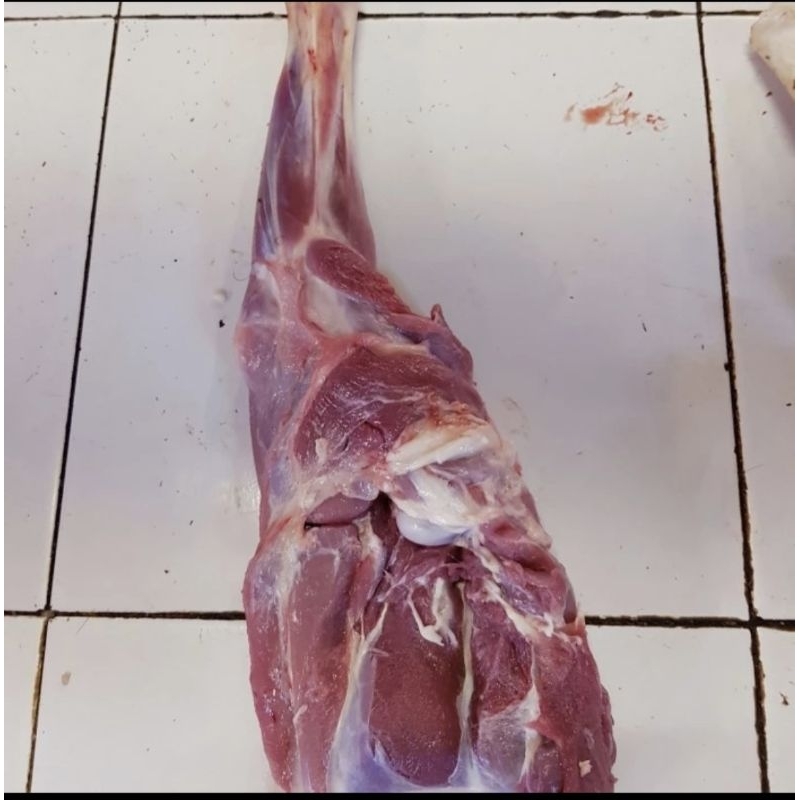 

Paha Depan Kambing Muda 1000 gram