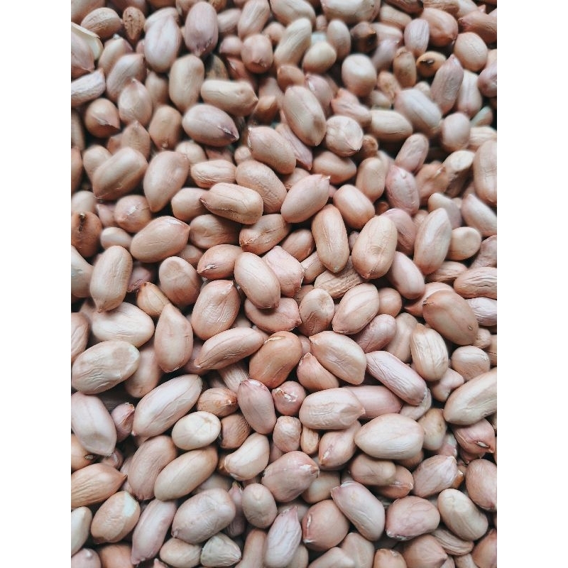 

Kacang Tanah 1kg 100% asli