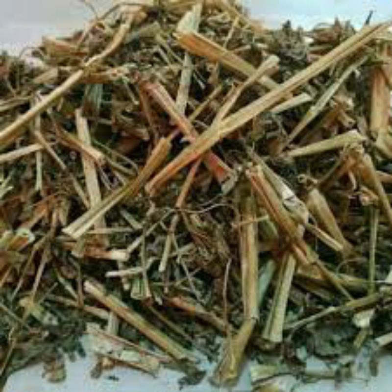 

Daun Ciplukan Cacah Kering 1 Kg Ceplukan 1000 Gram Batang Ceprutan Cecendet