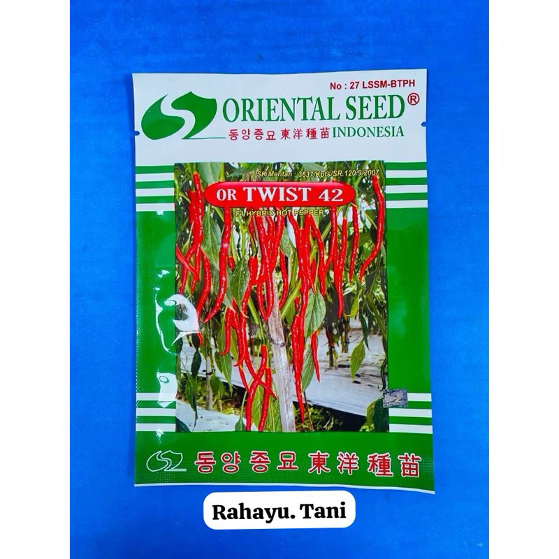 Benih Cabe kriting OR TWIST 42 F1/10 GRAM