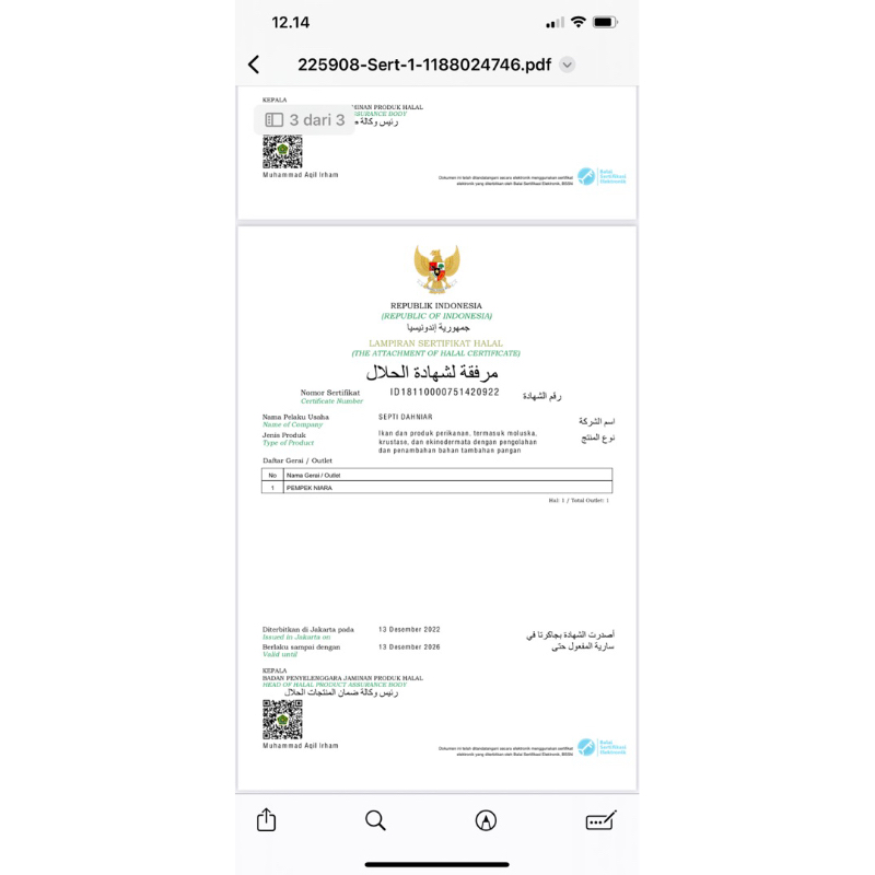 Pempek palembang isi 30 (full adaan)