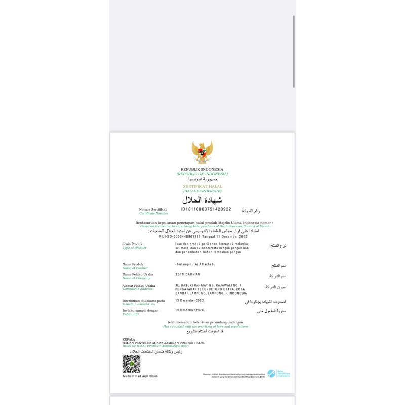 Pempek ikan isi 25 pcs varian campur.