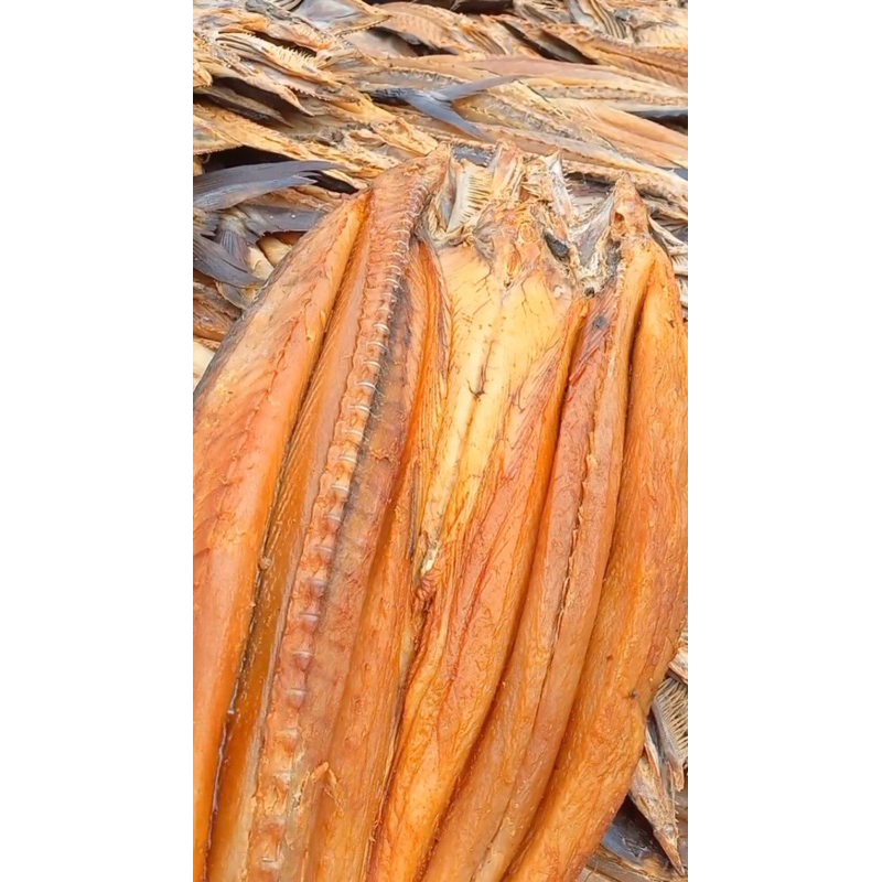 

Ikan Asin Tenggiri 1 Kg / Ikan Tenggiri Asin Kiloan / Telangtenggiri Murah