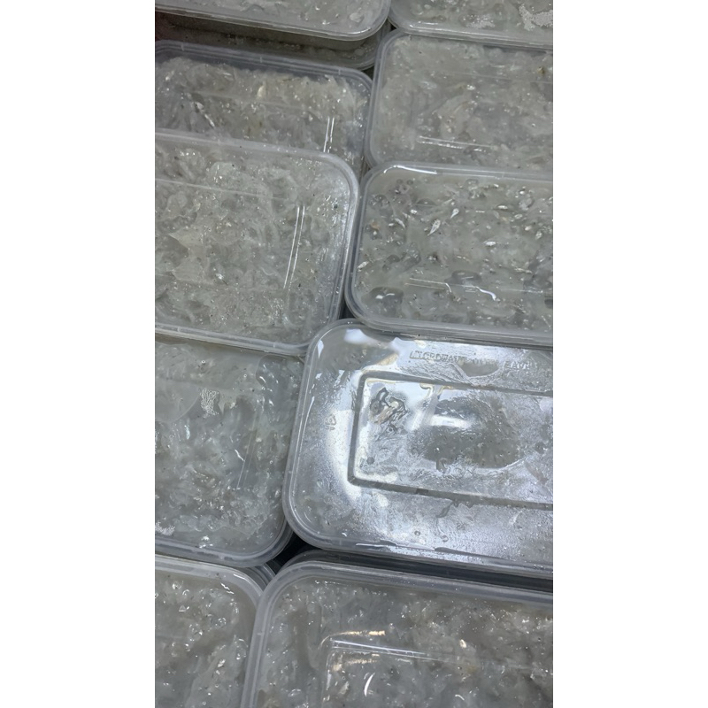 Teri Nasi Basah Fresh Frozen/Teri Nasi Basah MPASI 500grm