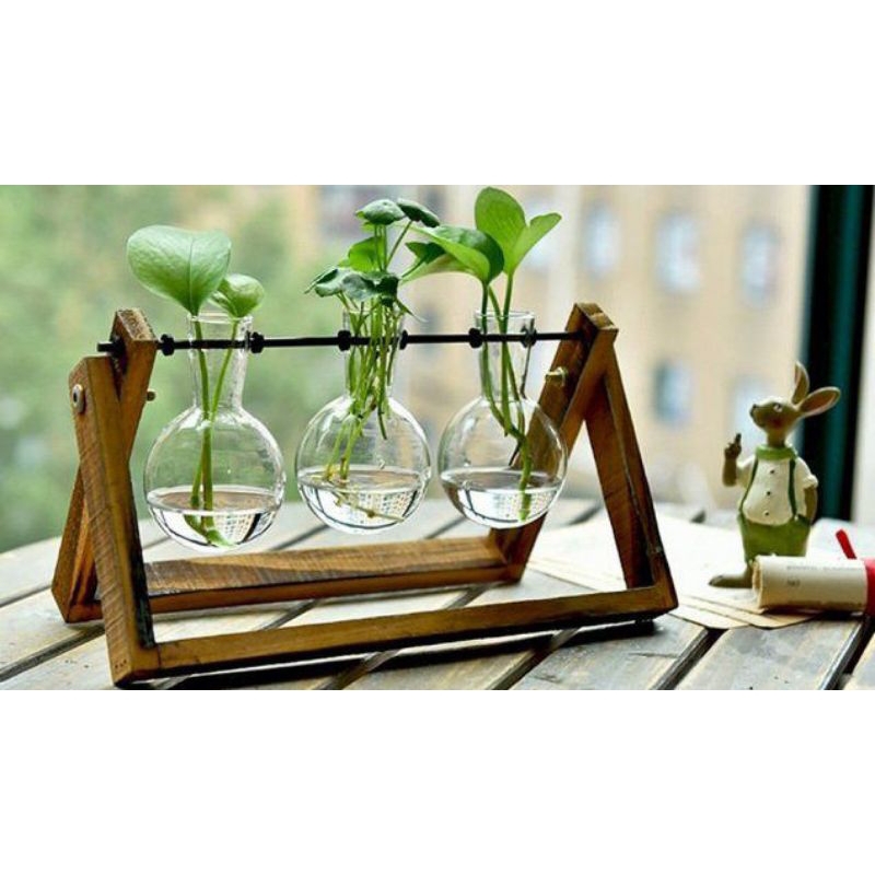 Pot Bunga Gantung Kaca Antik - produk terbaru