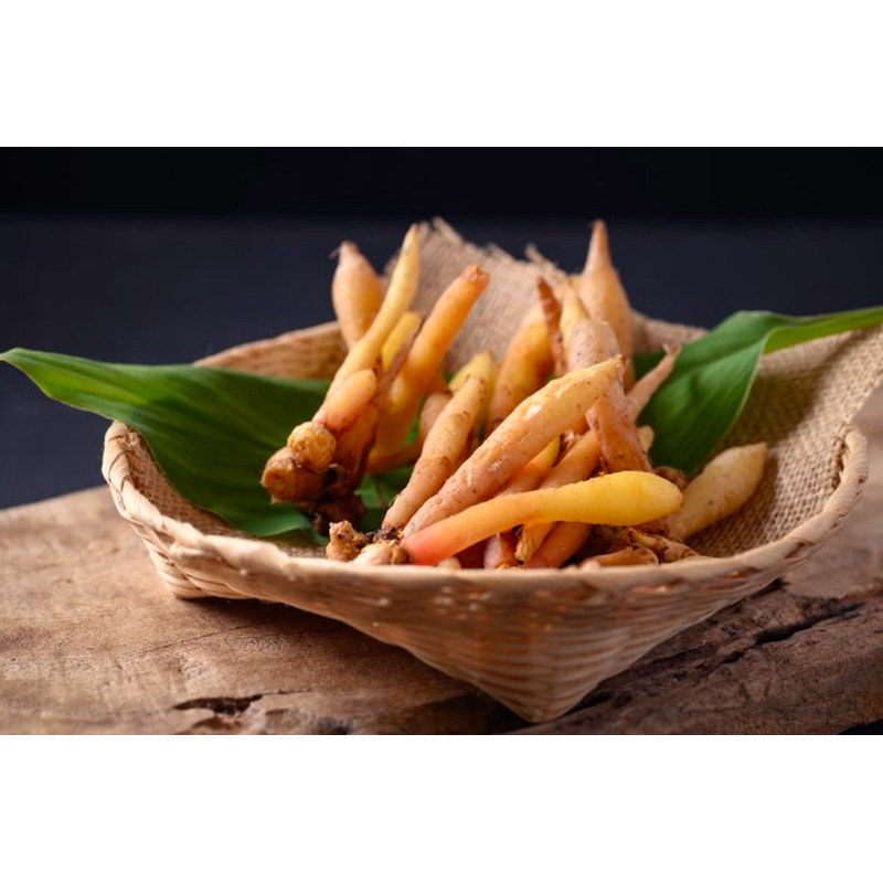 

Temu Kunci Segar Temu kunci Fresh SUPER Murah Alami Tua [COD]