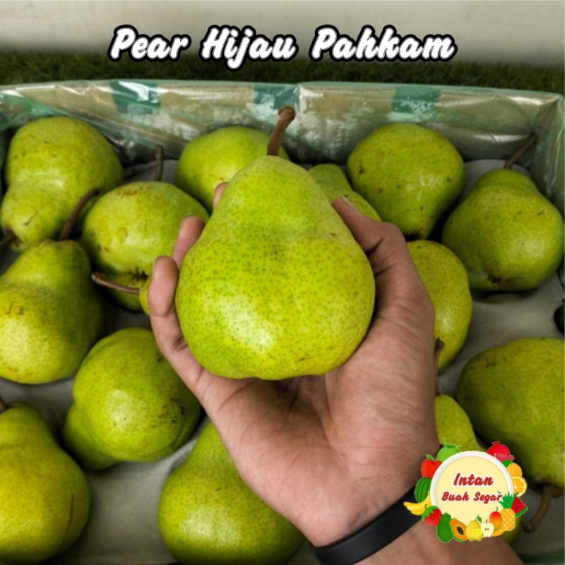 

BUAH PEAR HIJAU PAKAM 1KG MANIS FRESH / BUAH PEAR PAHKAM IMPORT / BUAH PIR PAKAM / BUAH PIR HIJAU / BUAH PEAR SEGAR