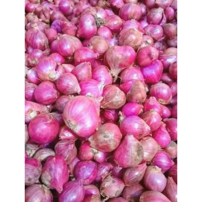 

Bawang merah 1kg