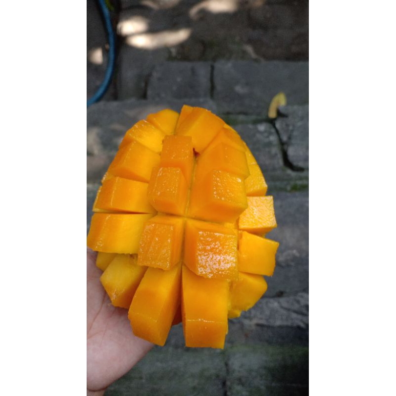 

mangga harum manis harummanis / pelem harum manis