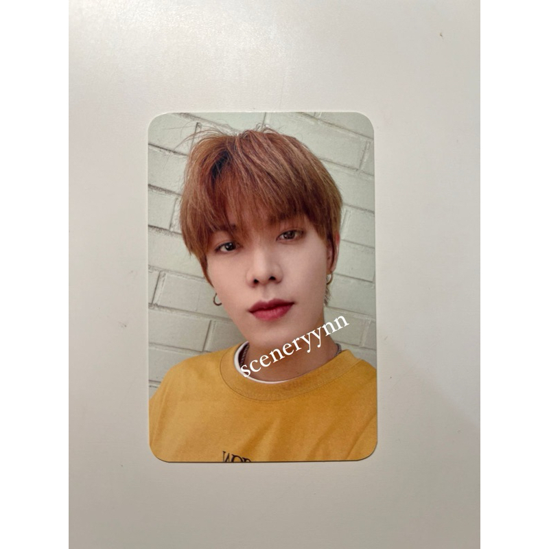 PC Yuta Slowacid x teddy island NCT 127