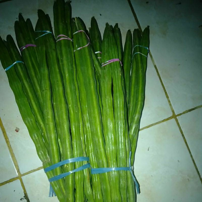 

Sayur Klentang Buah Kelor segar