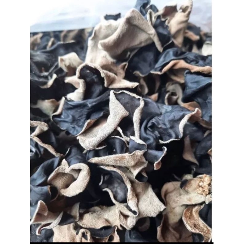 

JAMUR KUPING SUPER KERING 1KG