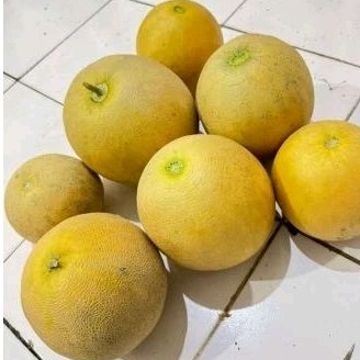 

Melon Lokal Manis