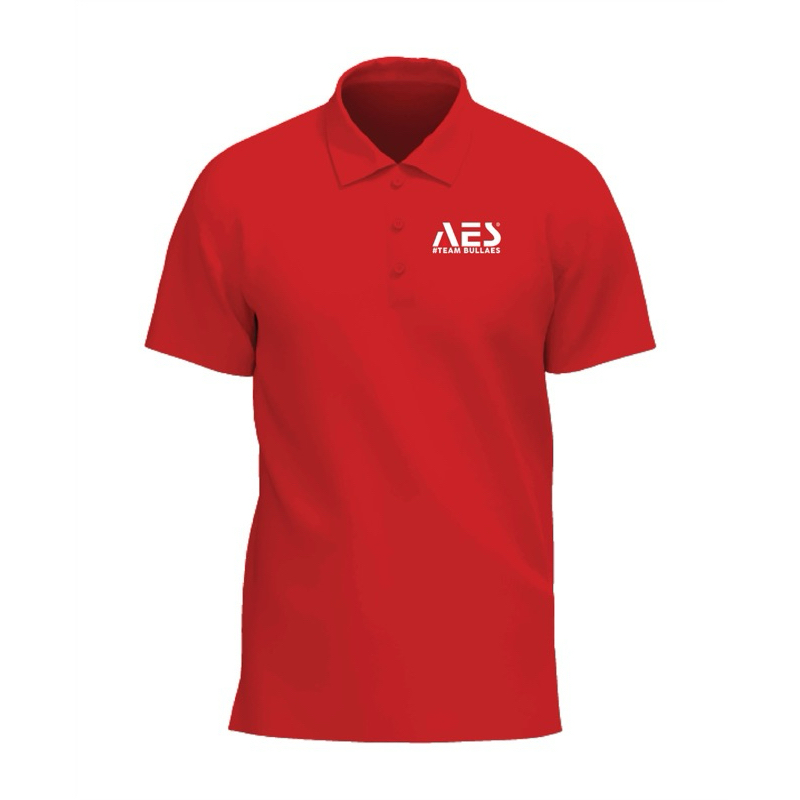 Polo AES team BullAes #teambullaes Best Quality