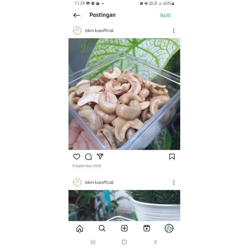 

Kacang Mente Aktivasi Panggang Oven berbagai ukuran