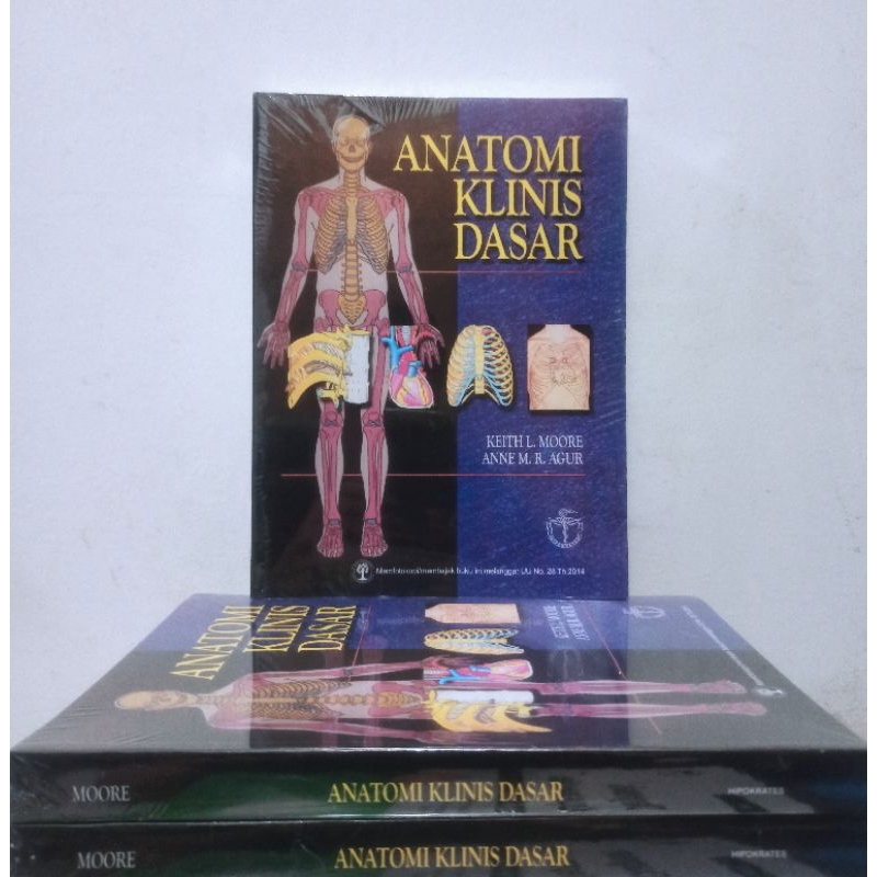 Anatomi Klinis Dasar