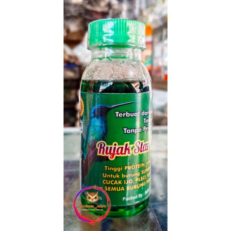 RUJAK STAR NEKTAR BURUNG PEMAKAN BUAH IE NECTAR RUJAK HIJAU HARIAN LOMBA SUNBIRD KOLIBRI CUCAK IJO P