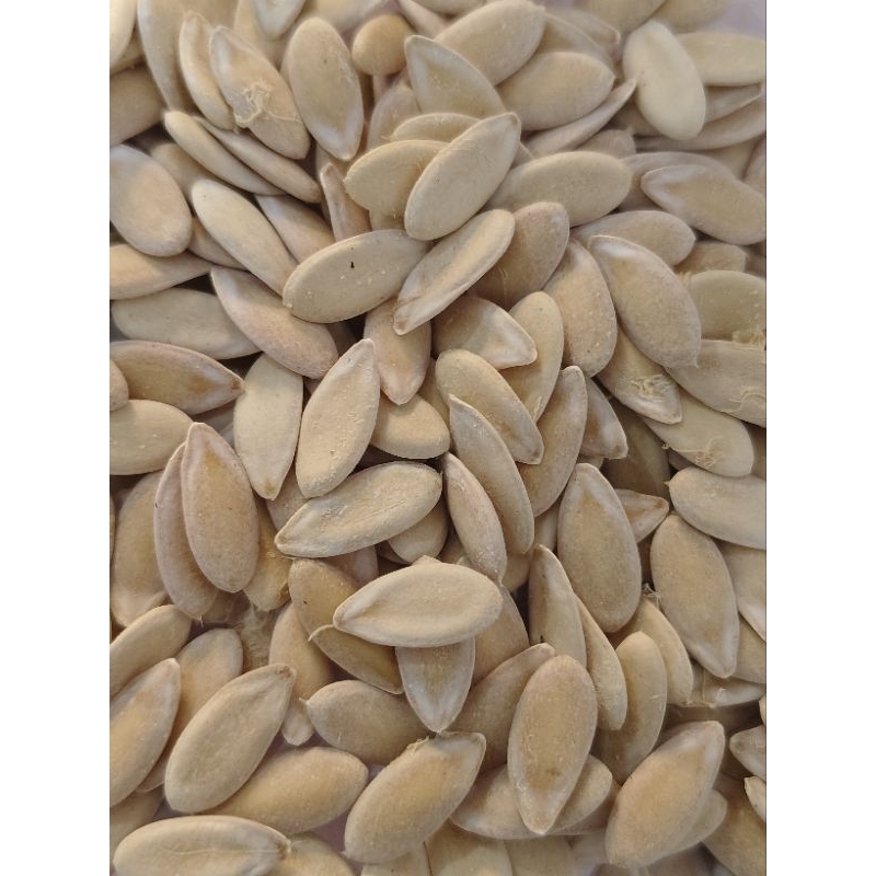 Bibit Benih Melon King Hami Biji Buah Melon