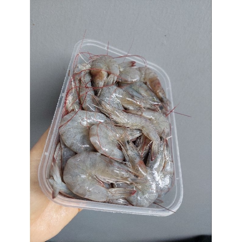 

Udang segar kemasan 500gr dan 250gr