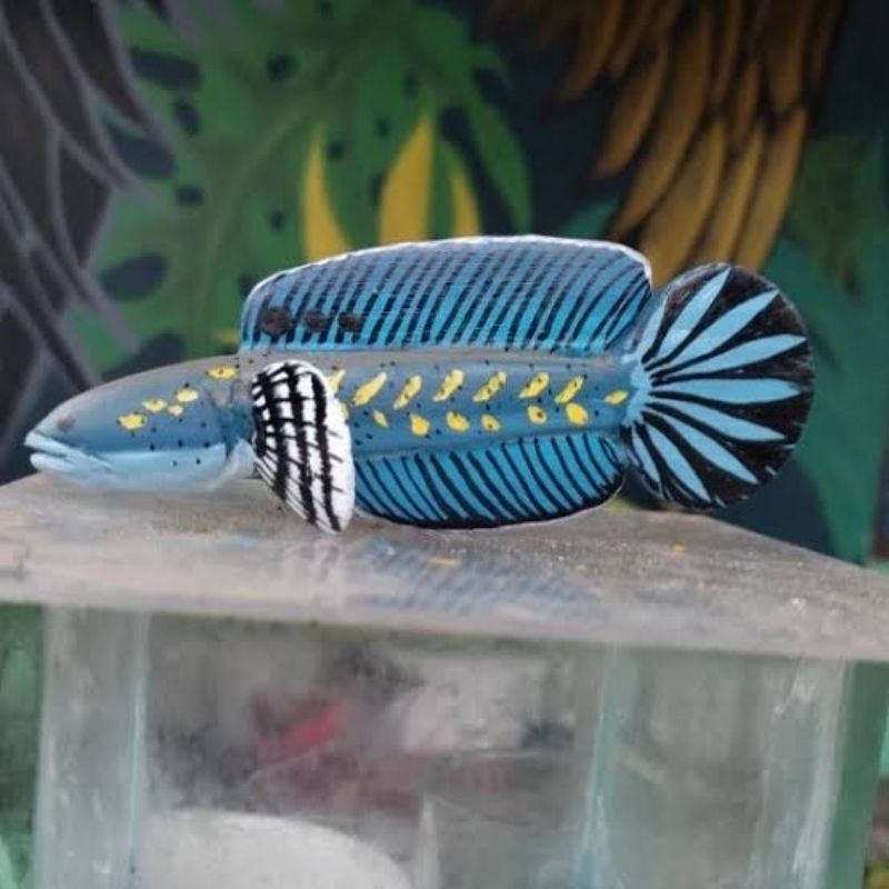 patung chana blue pulchra(pelatih mental pulchra)