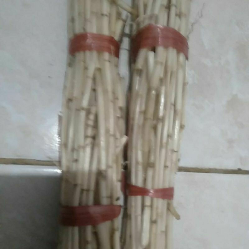 

Herbal Akar Alang Ilalang segar