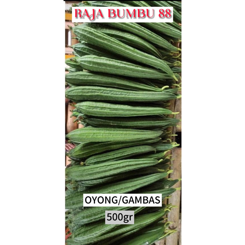 

SAYUR OYONG / GAMBAS 500gr