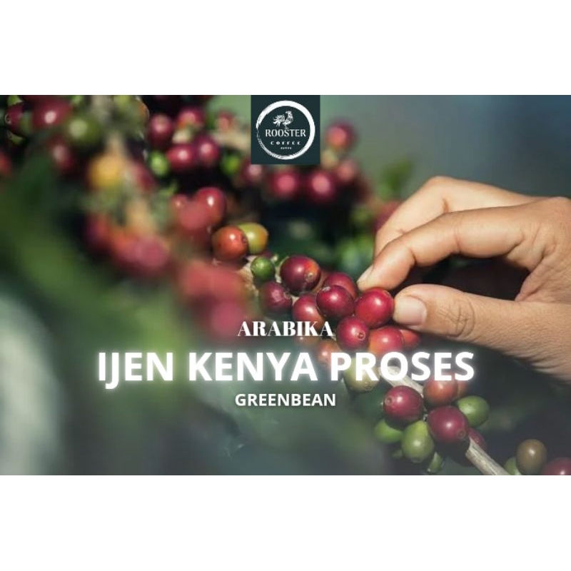 

GREEN BEAN IJEN KENYA PROSES 5KG
