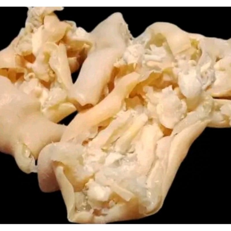 

Kaki tunjang filled lepas tulang