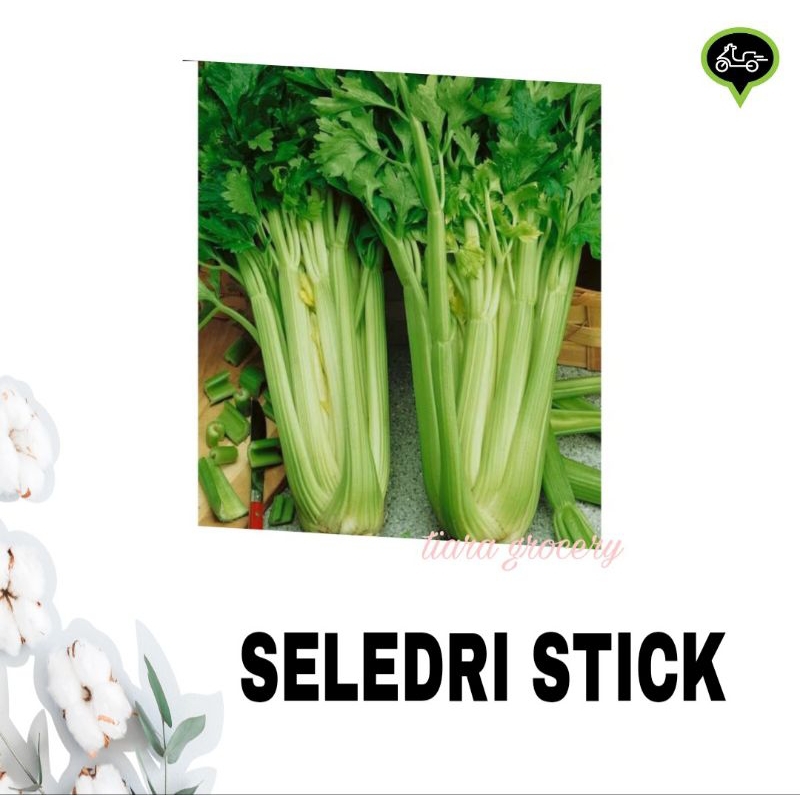 

Seledri stik