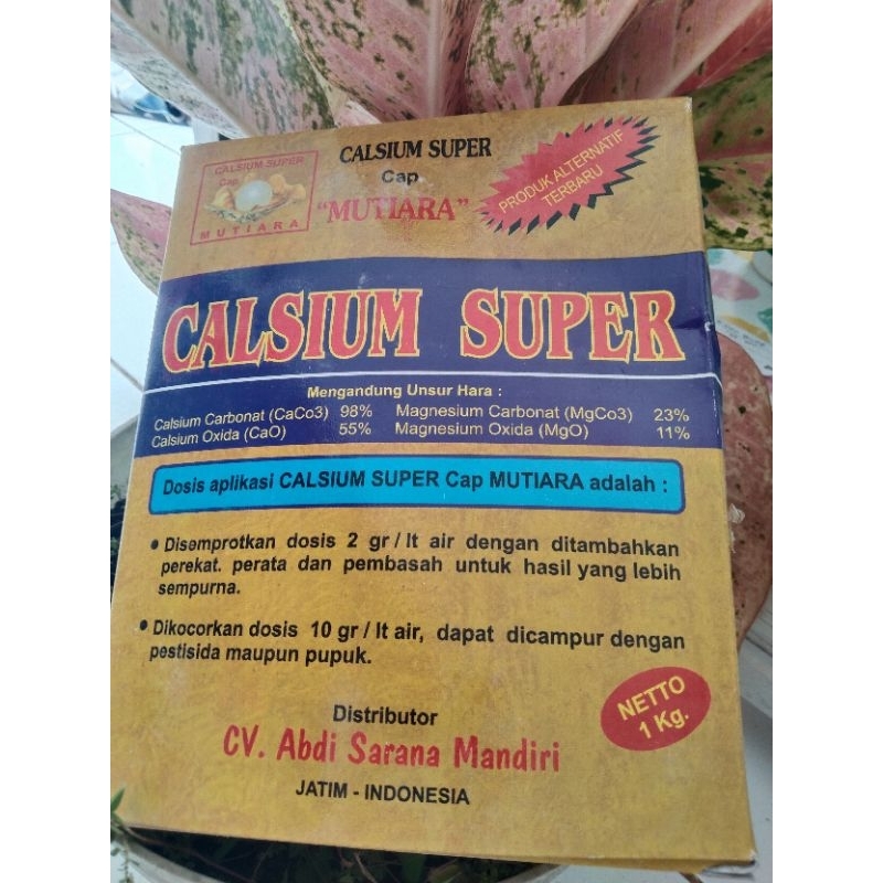 kalsium tanaman CALSIUM SUPER cap MUTIARA