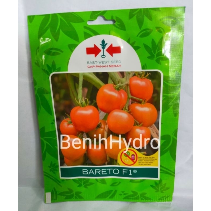 Benih Tomat Bareto F1 kemasan 150 butir