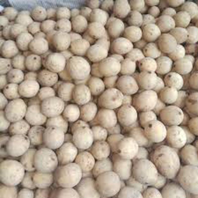 

Duku Manis