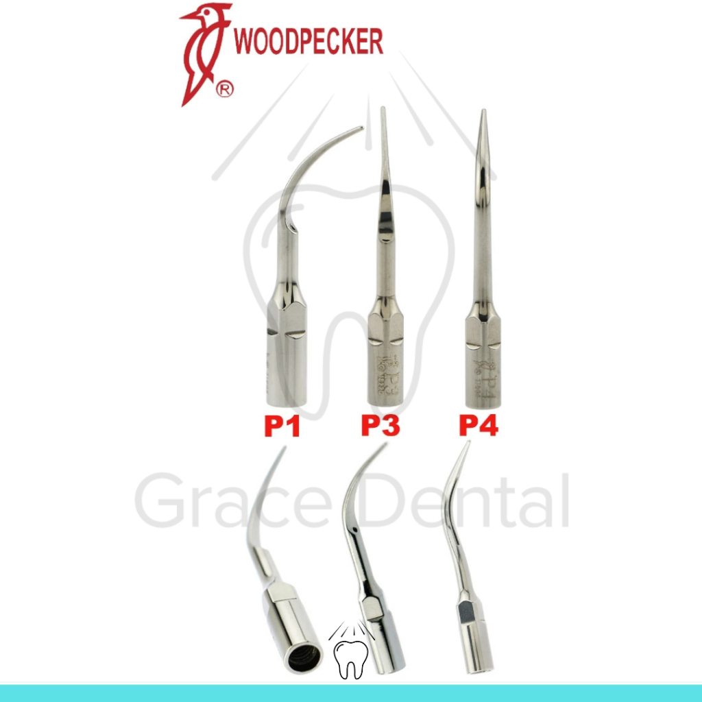 Scaler Tip Woodpecker Original Ultrasonic Scaller
