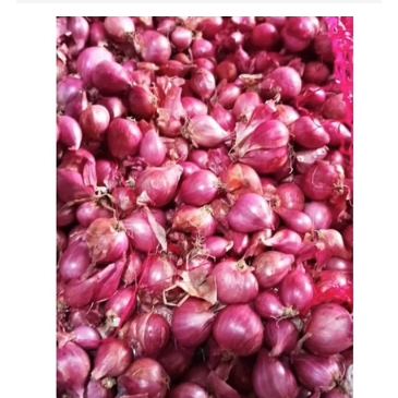 

bawang merah murah 1kg / bumbu masak
